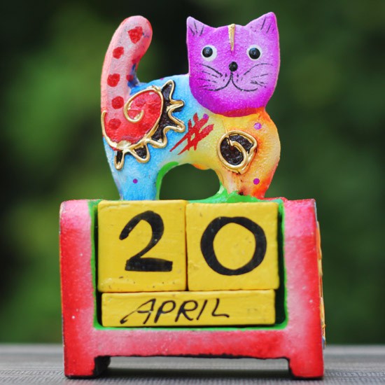 Shocking Colourful Cat