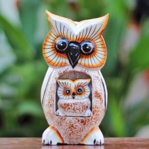 Owl's Baby