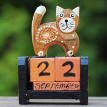 'Shocking Cat