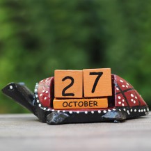 Turtle Bring A Thing