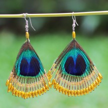 'Yellow Peacock