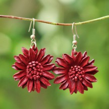 'Maroon Sun Flower