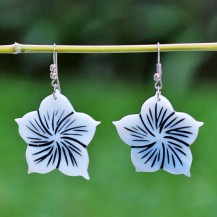 Hibiscus Painted