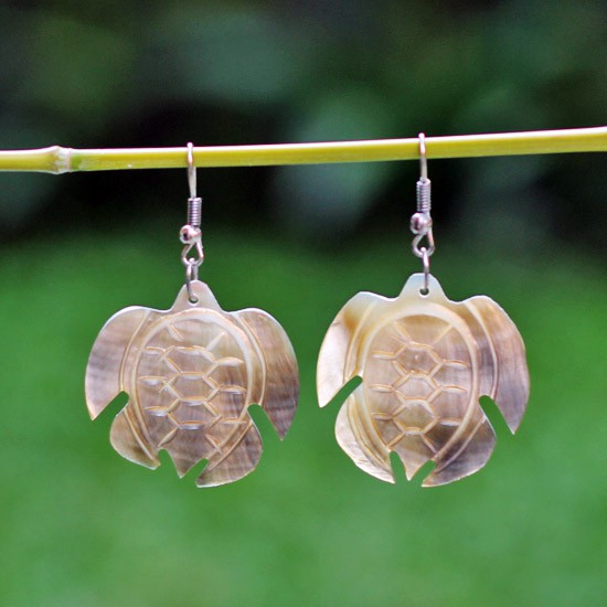 Shell Turtle Carved