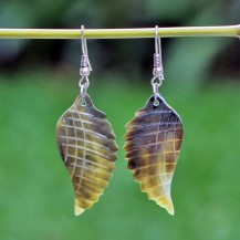 The Shell