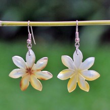 Shell Flower 3