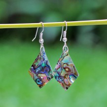 Shell Kites