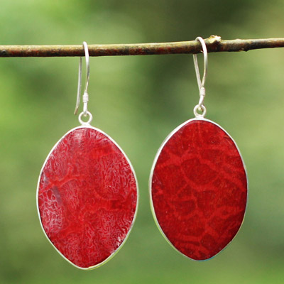 Simple Oval Coral