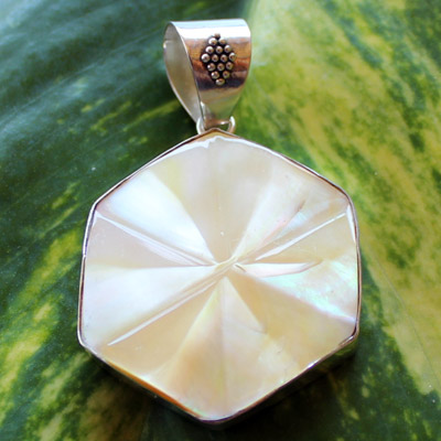 Sea shell 