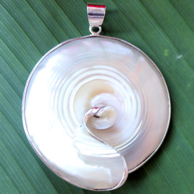 'White Round Shell
